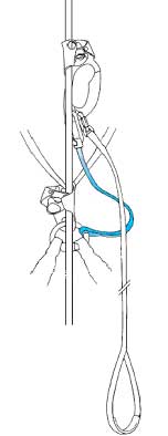 Petzl B19WAA ASCENTREE手柄攀升器(雙手)