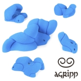 比利時Agripp