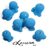 法國expression