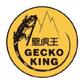 壁虎王岩點
