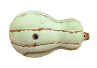 Vertigo CT00zXL 蔬果動物造型岩塊