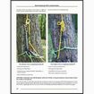 BEST PRACTICES FOR SRT IN ARBORICULTURE(攀樹SRT原文)