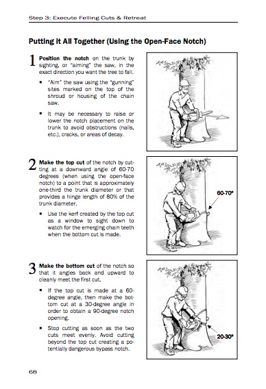 TO FELL A TREE BY JEFF JEPSON(修樹用書原文)
