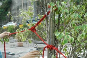 固定點架設_工程蝴蝶結