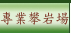 專業攀登場