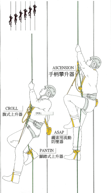利用Petzl B17 Ascension 手柄上升器、Petzl B16 Croll 腹式上升器及Petzl B02 Pantin腳踏式上升器做長距離的繩索上升