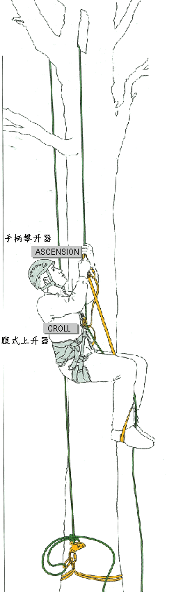 利用PETZL B17 ASCENSION 手柄上升器做長距離上升(可解除確保點)