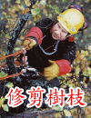 PETZL P05 FIXE 固定側板滑輪 應用於修剪樹枝